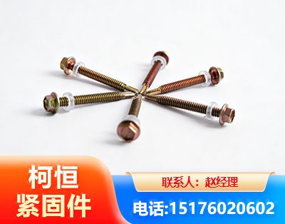 巴彦淖尔六角钻尾丝