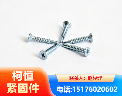 巴彦淖尔平头钻尾丝