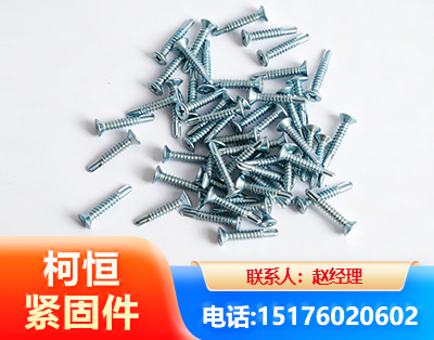 巴彦淖尔平头钻尾丝